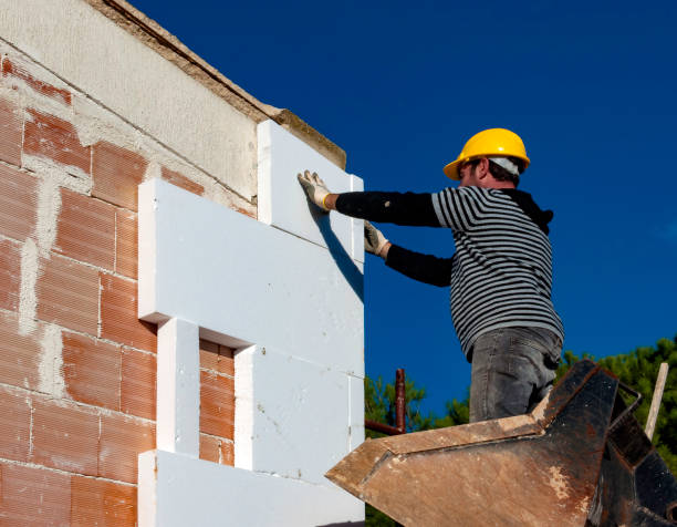 Best Blown-in Insulation  in Hallsville, TX