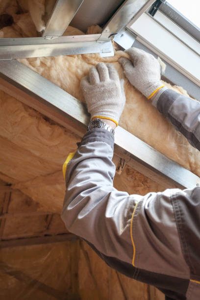 Best Soundproof Insulation Installation  in Hallsville, TX