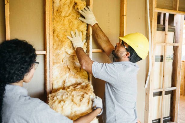 Insulation Repair Services in Hallsville, TX