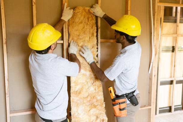 Best Spray Foam Insulation  in Hallsville, TX