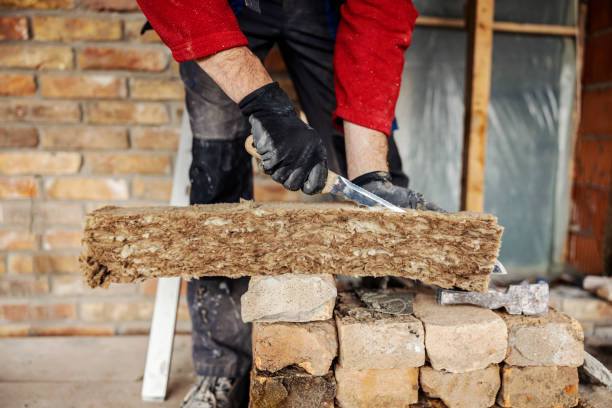 Best Attic Insulation Installation  in Hallsville, TX