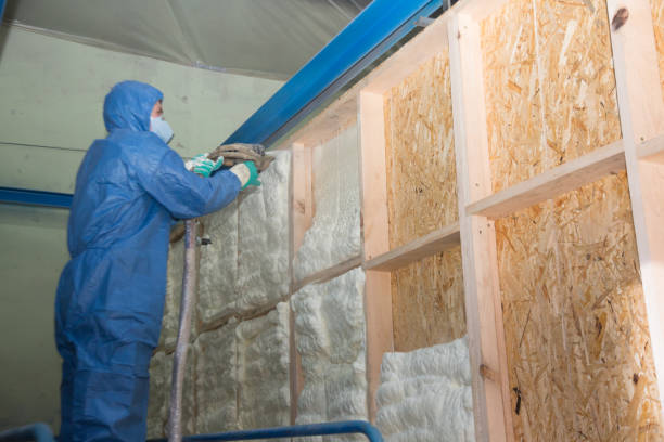 Best Insulation Replacement Services  in Hallsville, TX