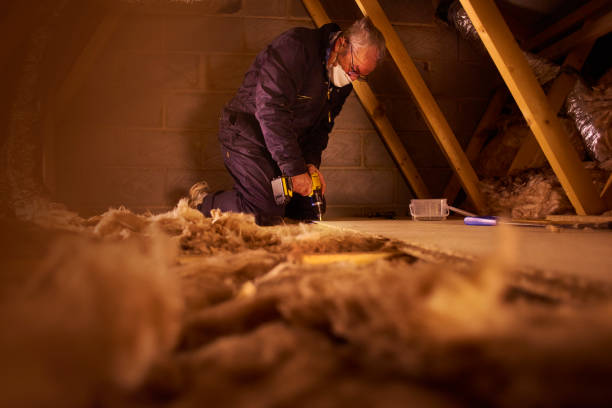 Best Garage Insulation Installation  in Hallsville, TX